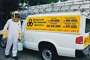 Gilbert bee removal service truck and employee